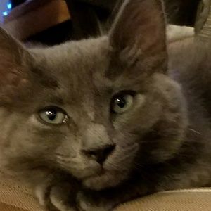 Meet your Posher, Suzanne